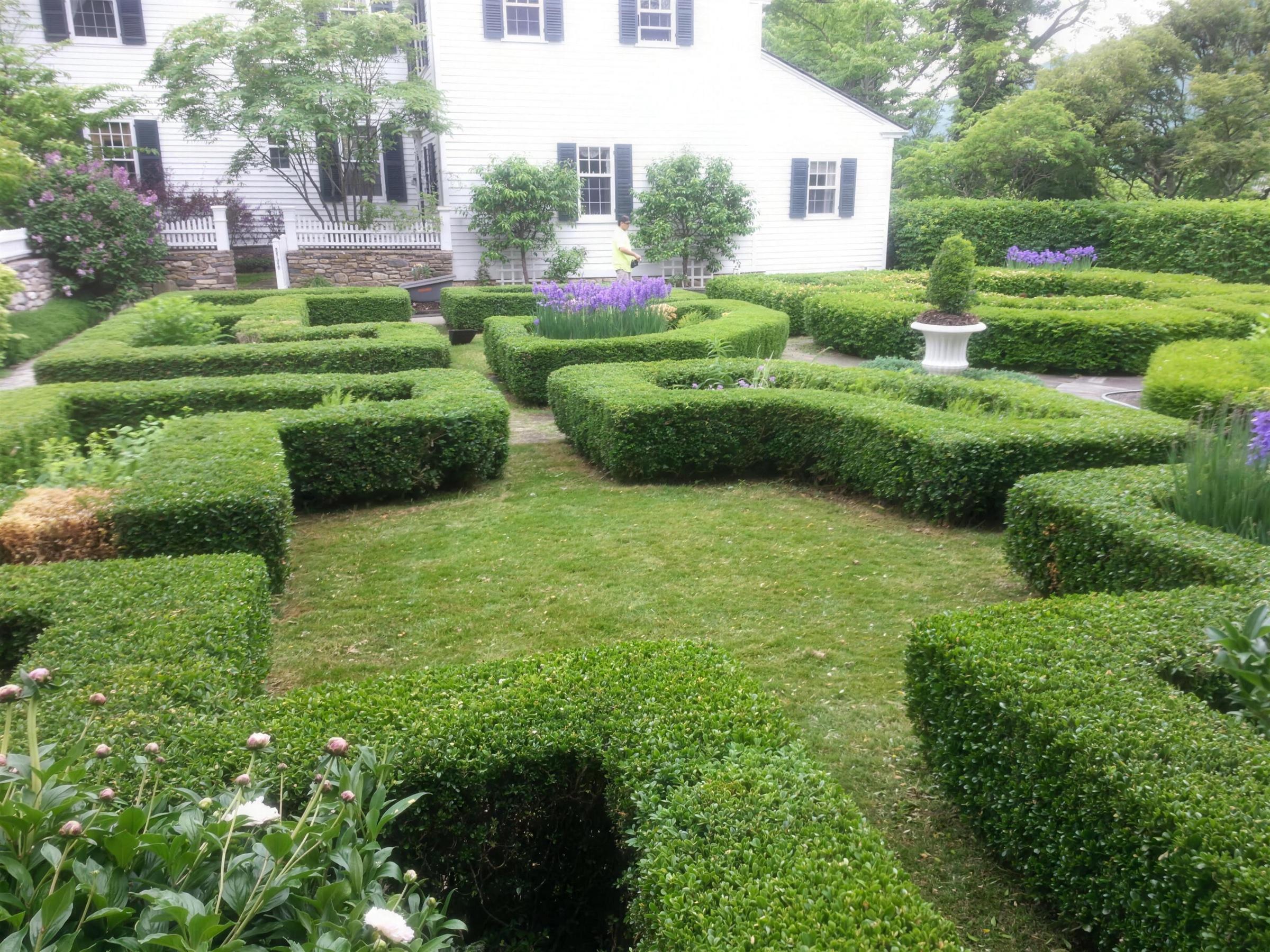 Formal parterre garden of clipped boxwood hedges laid out in a geometric pattern
